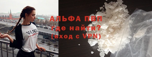 ECSTASY Белокуриха