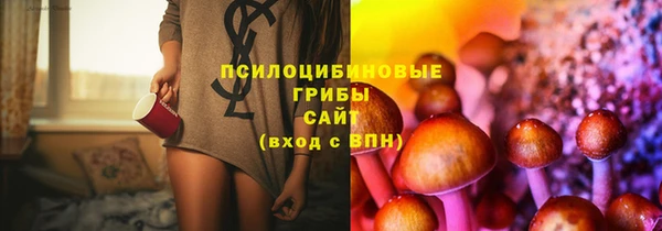 ECSTASY Белокуриха