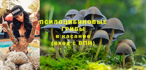 винт Беломорск