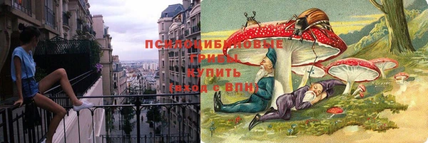 ECSTASY Белокуриха