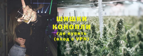 ECSTASY Белокуриха