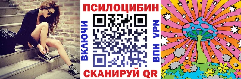 Галлюциногенные грибы Psilocybe  Вельск 